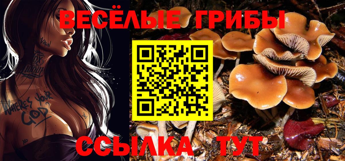 Зеленокумск  Галлюциногенные грибы MAGIC MUSHROOMS  Вход с VPN  Галлюциногенные грибы MAGIC MUSHROOMS 