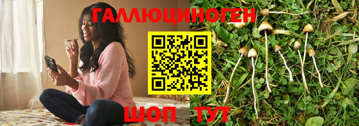 Галлюциногенные грибы мухоморы Зеленокумск